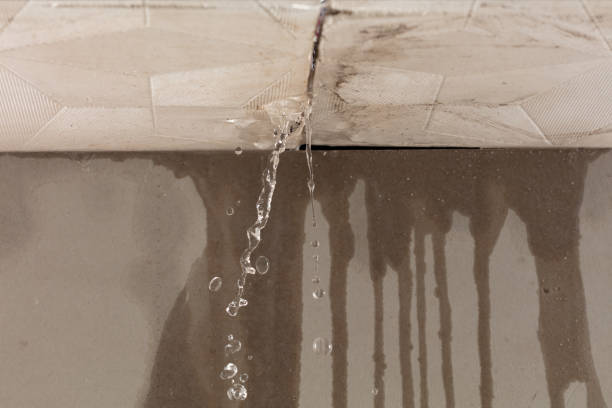 Professional Flood Damage Cleanup technician working in Nevada, TX